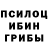 Псилоцибиновые грибы Psilocybe Denis Balaker