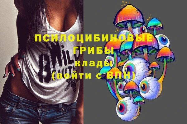 ALPHA PVP Медвежьегорск