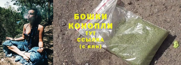 spice Мегион