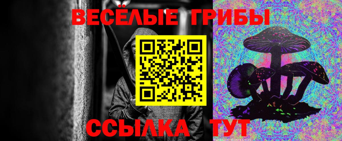 купить наркотик  Псилоцибиновые грибы MAGIC MUSHROOMS  Вход с VPN  Североуральск 