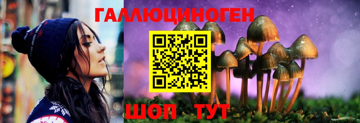 Галлюциногенные грибы Cubensis Североуральск